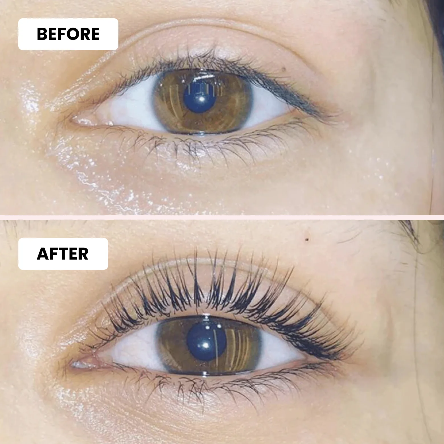 Luxe Lashlift Set + Free Tint Set - Image 3