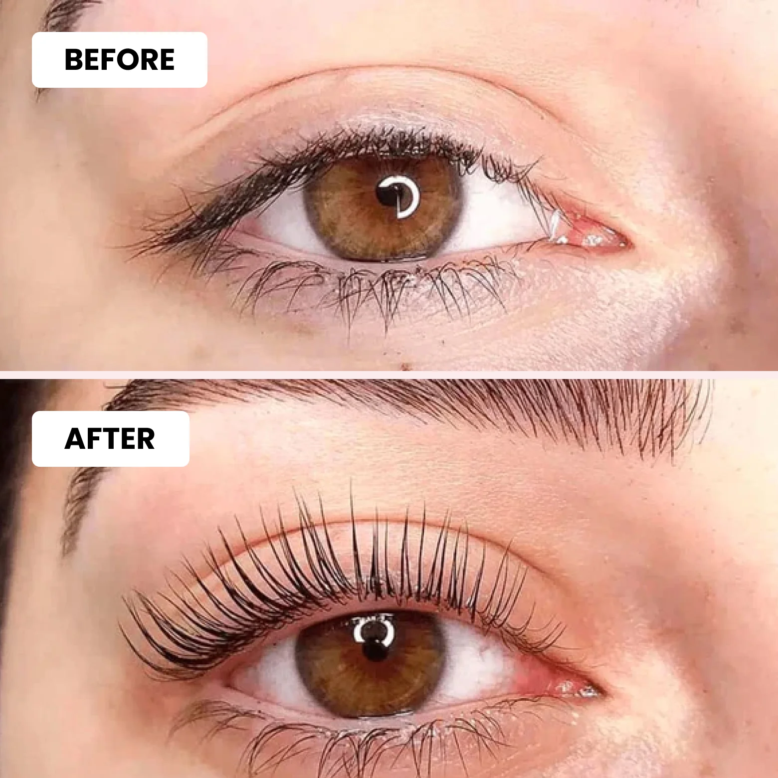 Luxe Lashlift Set + Free Tint Set - Image 2