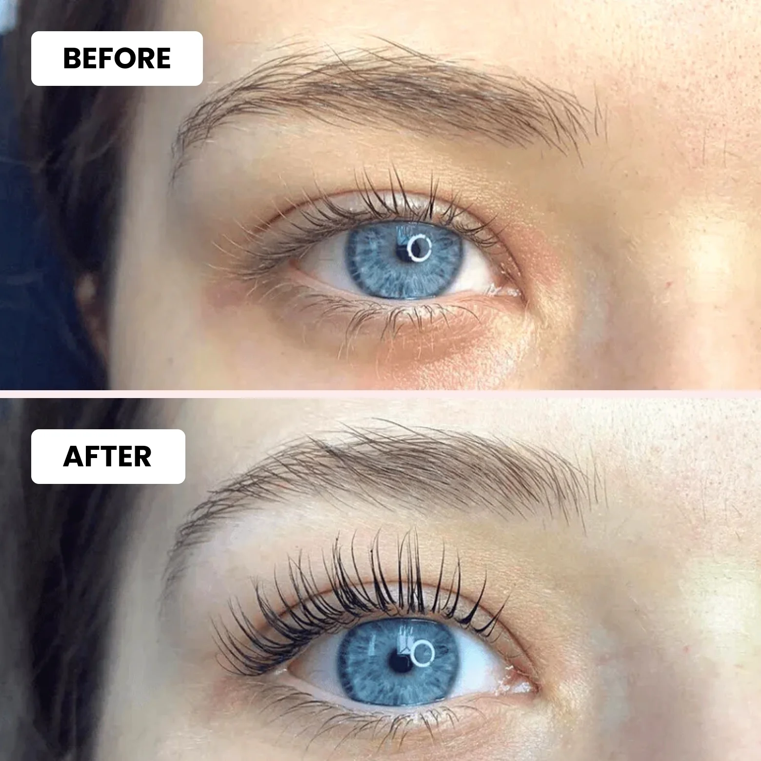 Luxe Lashlift Set + Free Tint Set - Image 3