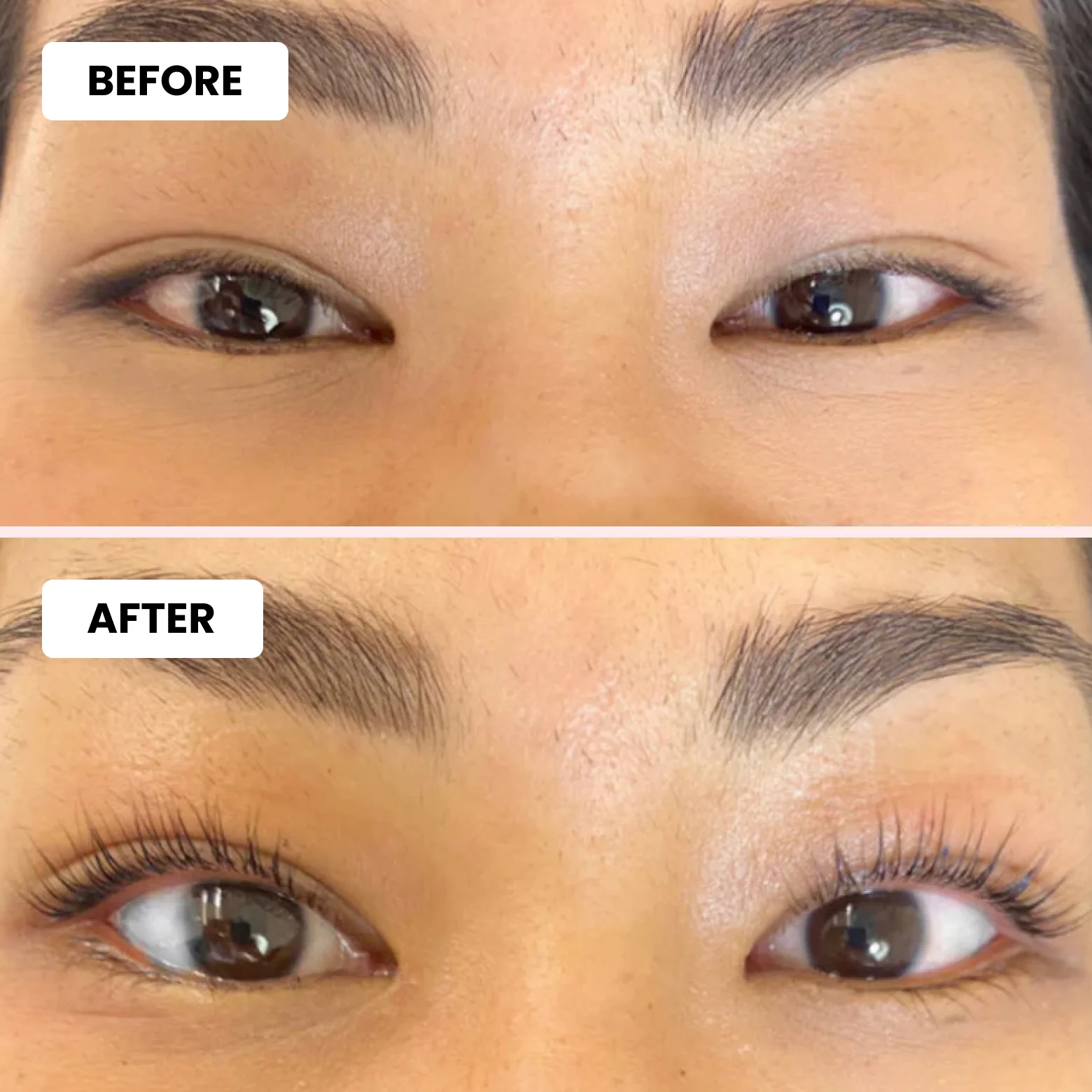 Luxe Lashlift Set + Free Tint Set - Image 4