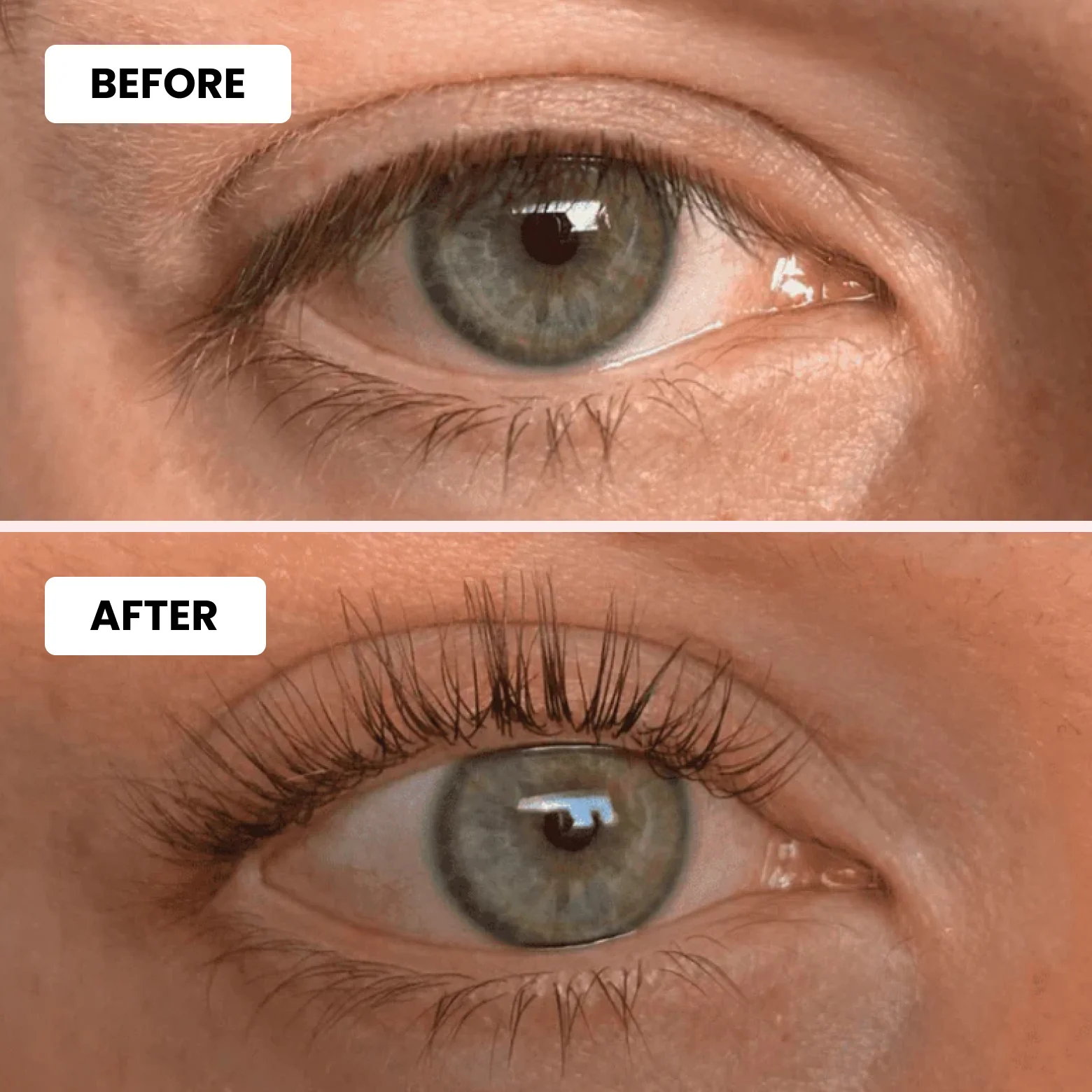 Luxe Lashlift Set + Free Tint Set - Image 5